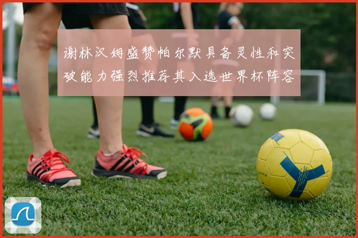 谢林汉姆盛赞帕尔默具备灵性和突破能力强烈推荐其入选世界杯阵容
